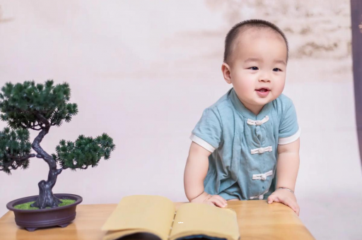阜阳可爱的企鹅宝宝